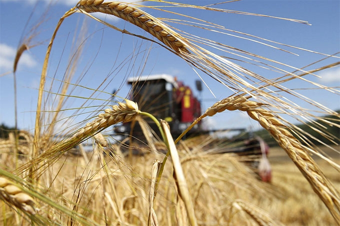 Минагропромторг объявляет отбор для предоставления субсидий сельхозпроизводителям
